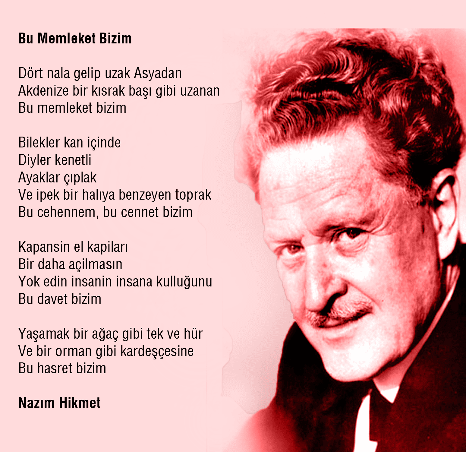 nazim-hikmet-bu-memleketin.png