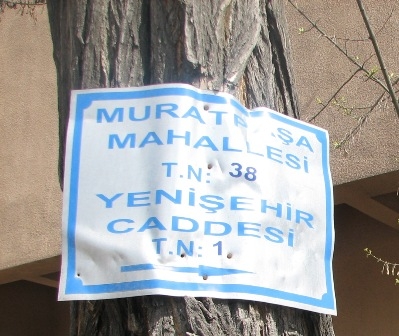 Paşa Erzurum’da 70 yıldır yok 2