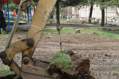 Yakutiye’den fidan hassasiyeti 2