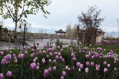 Erzurum'da buraya giden var mı! 1