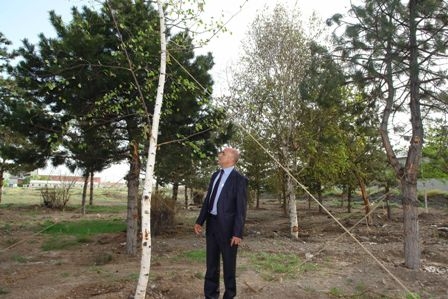Erzurum bir parka daha kavuşuyor! 3