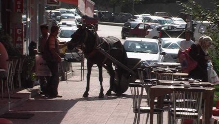 Şehir merkezinde yasaklanmıştı! 2