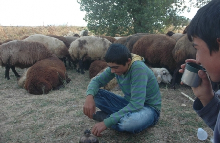 Bu çocuklara yazık oluyor! 1