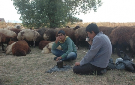 Bu çocuklara yazık oluyor! 2