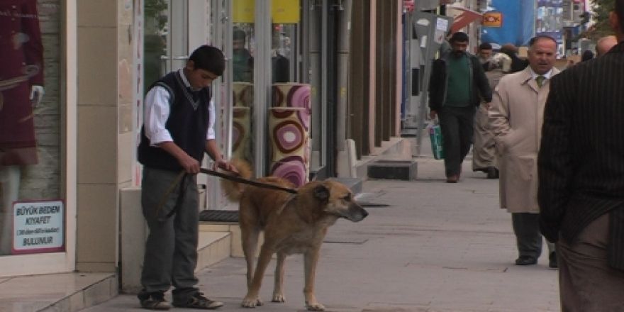 Büyük köyden manzara!