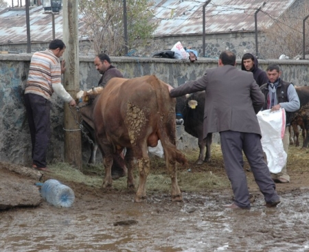 Belediye timi işe yaramadı! 1