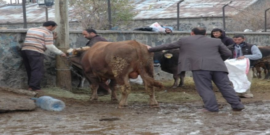 Belediye timi işe yaramadı!