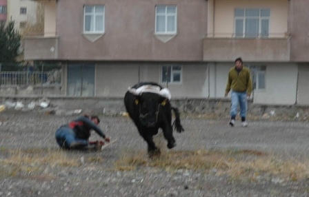 İşte böyle yakaladılar! 7