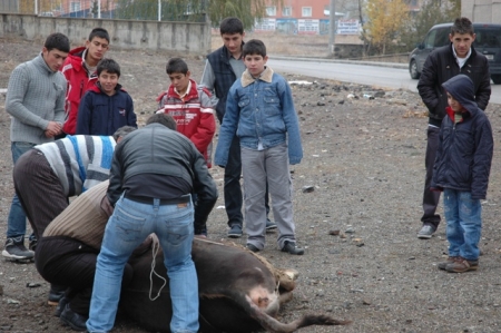 Uyanda olmadı, uygulayanda! 1