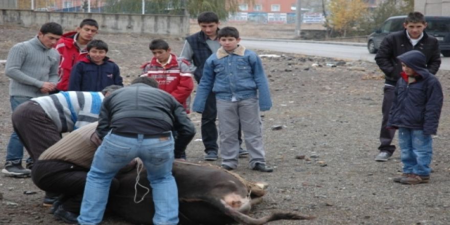 Uyanda olmadı, uygulayanda!