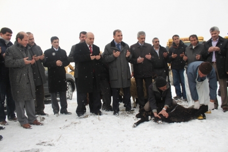 Sağlık Kampüsüne kepçe vuruldu 2