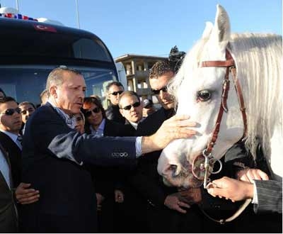 Başbakanı üzecek haber! 2