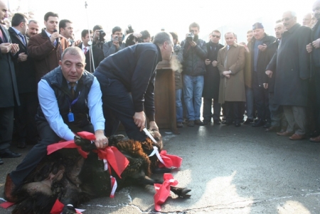 13 yeni otobüs seferde! 2