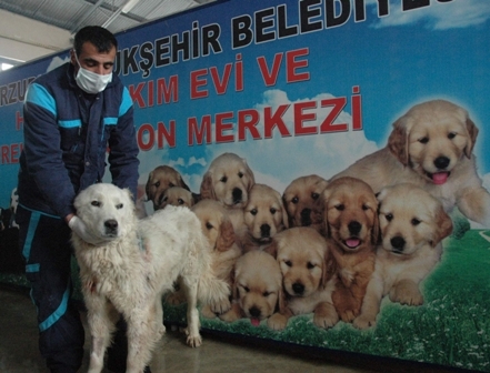 Sonunda Bunu da Gördük! 5