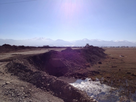 Erzurum’da doğa Katliamı seyrediliyor! 2