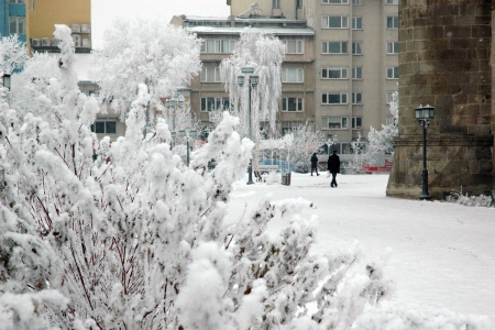 Erzurum'dan karpostallık görüntüler 1