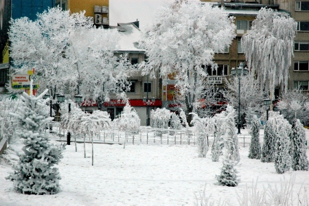 Erzurum'dan karpostallık görüntüler 2