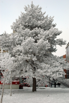 Erzurum'dan karpostallık görüntüler 4