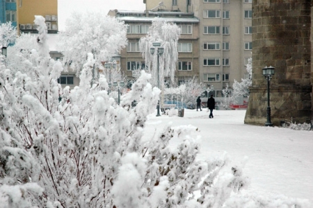 Erzurum'dan eşsiz kar manzaraları! 2