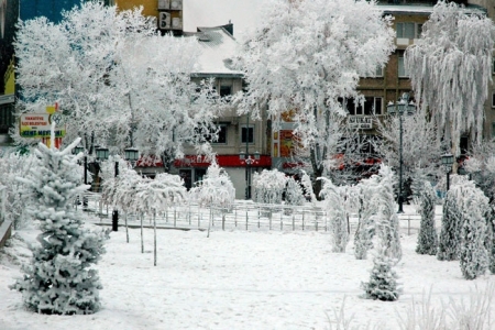 Erzurum'dan eşsiz kar manzaraları! 3