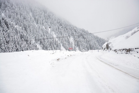 Rize-Erzurum karayolu çocuklara kaldı 2