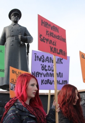 Erzurum'da eylem yaptılar! 3