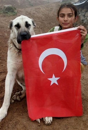 Sosyal medyanın yıldızı Hamdu Sena 11