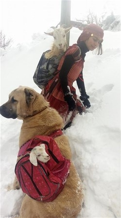 Sosyal medyanın yıldızı Hamdu Sena 6