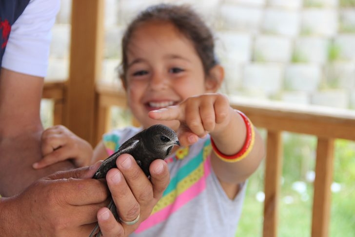 Esrarı hala çözülemeyen Ebabil kuşu Erzurum'da bulundu! 3