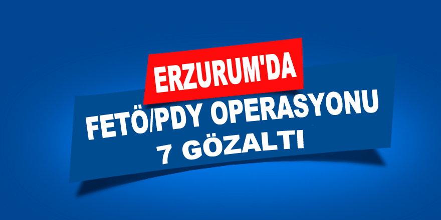 Erzurum'da FETÖ/PDY operasyonu: 7 gözaltı