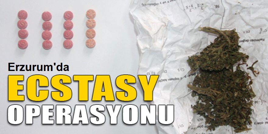 Erzurum Polisinde operasyon