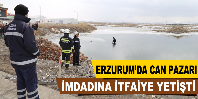 Erzurum'da can pazarı