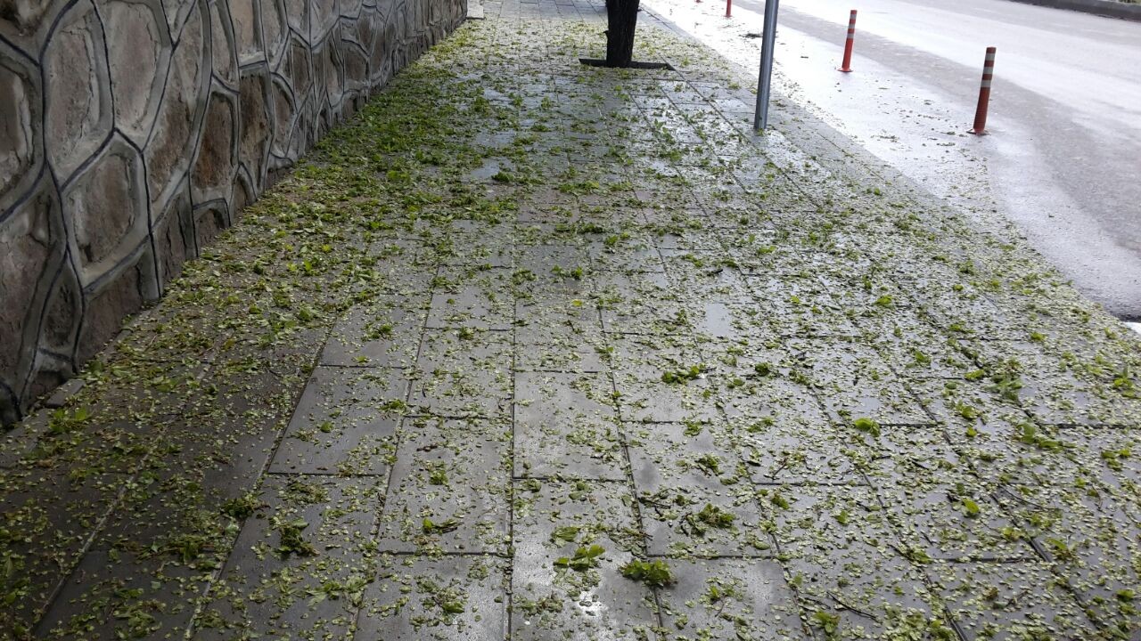 Aşkale’de fırtına ve dolu korku dolu dakikalar yaşattı