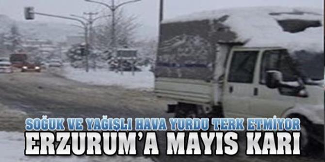 Erzurum'da Mayıs’ın 23’ünde kar yağışı
