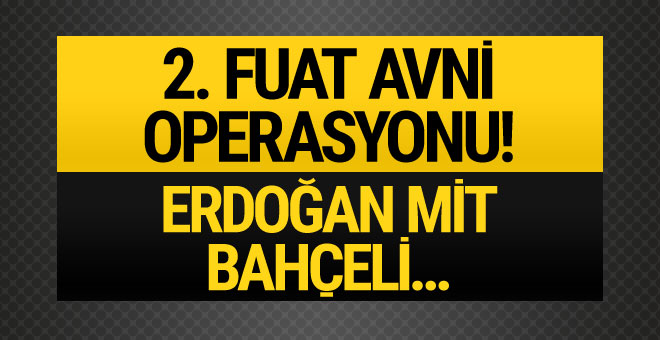 '2. Fuat Avni' yapılanmasına operasyon!