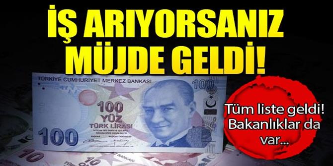 Bir iş müjdesi daha! İŞKUR başlattı