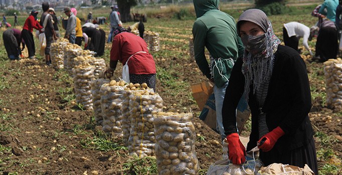 49 lira için 15 saat çalışıyorlar