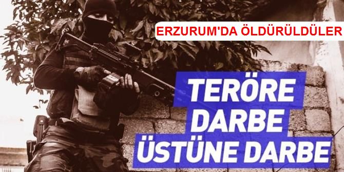 Erzurum'da Terör Operasyonu