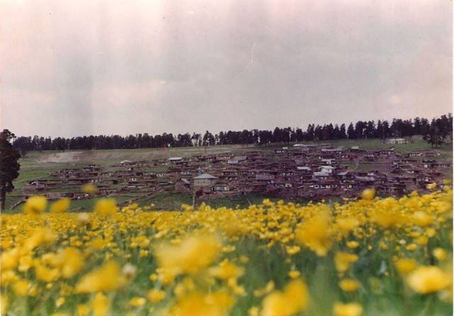 Şenkaya'da Yayla Şenlikleri Hazırlıkları