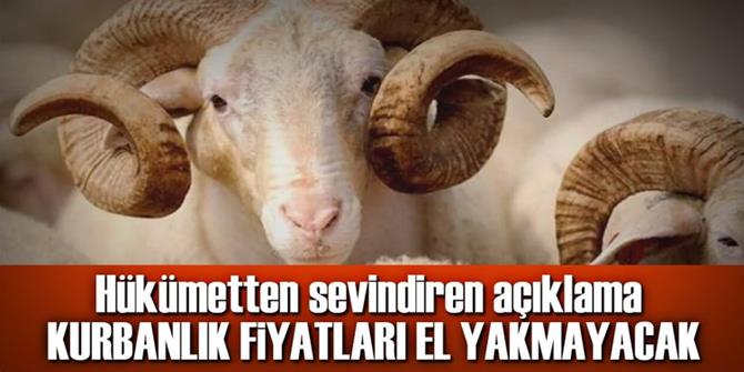 Kurban bu yıl el yakmayacak