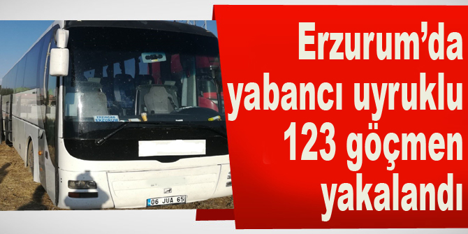Erzurum’da yabancı uyruklu 123 göçmen yakalandı