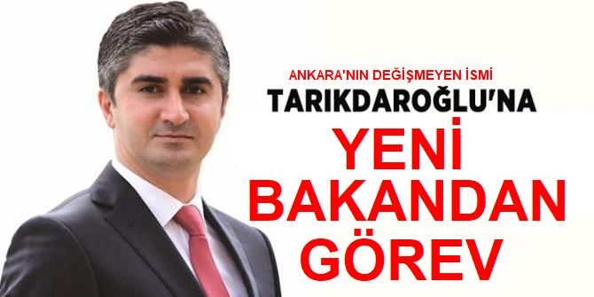 İkinci Tarikdaroğlu damgası