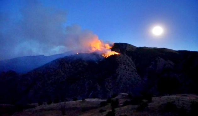 Erzurum'daki Orman Yangını Kontrol Altına Alındı
