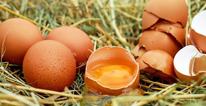 20 ton böcek ilaçlı yumurta piyasaya sürülmüş