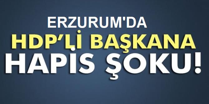 Hdp İlçe Başkanına 6 Yıl Hapis