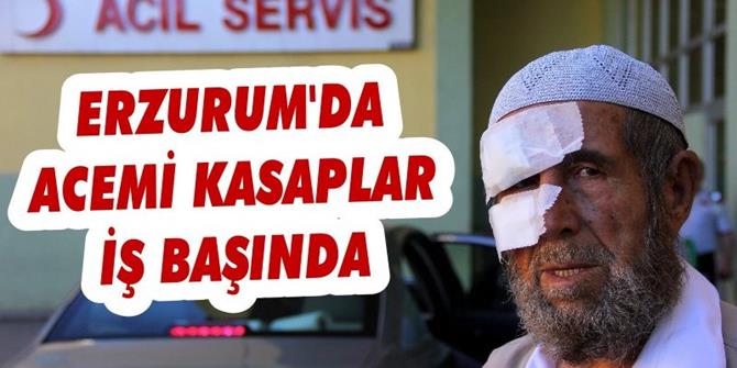 Doğu'da 167 "Acemi Kasap" Hastanelik Oldu