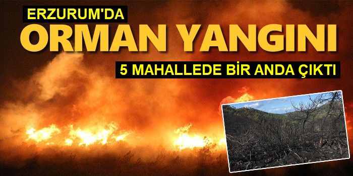 Erzurum'da Yine Orman Yangını