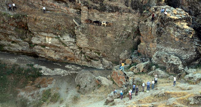 Vatandaşlar, büyük zorlukla 5 hayvanı kurtarabildi