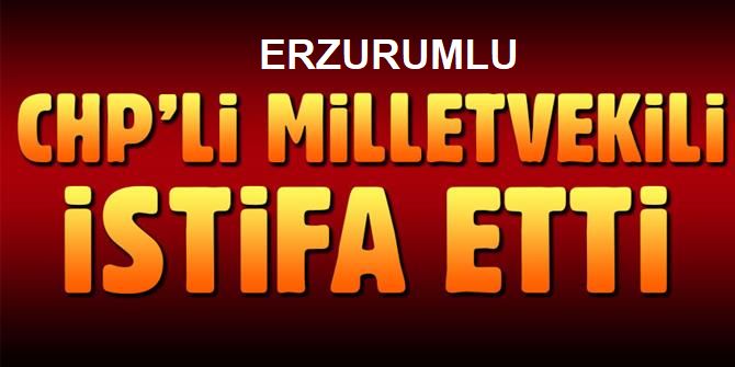 CHP'li Şafak Pavey milletvekilliğinden istifa etti