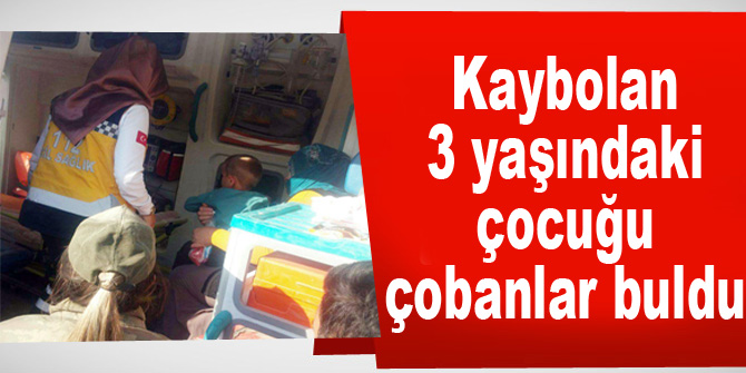 Kaybolan 3 yaşındaki çocuğu çobanlar buldu